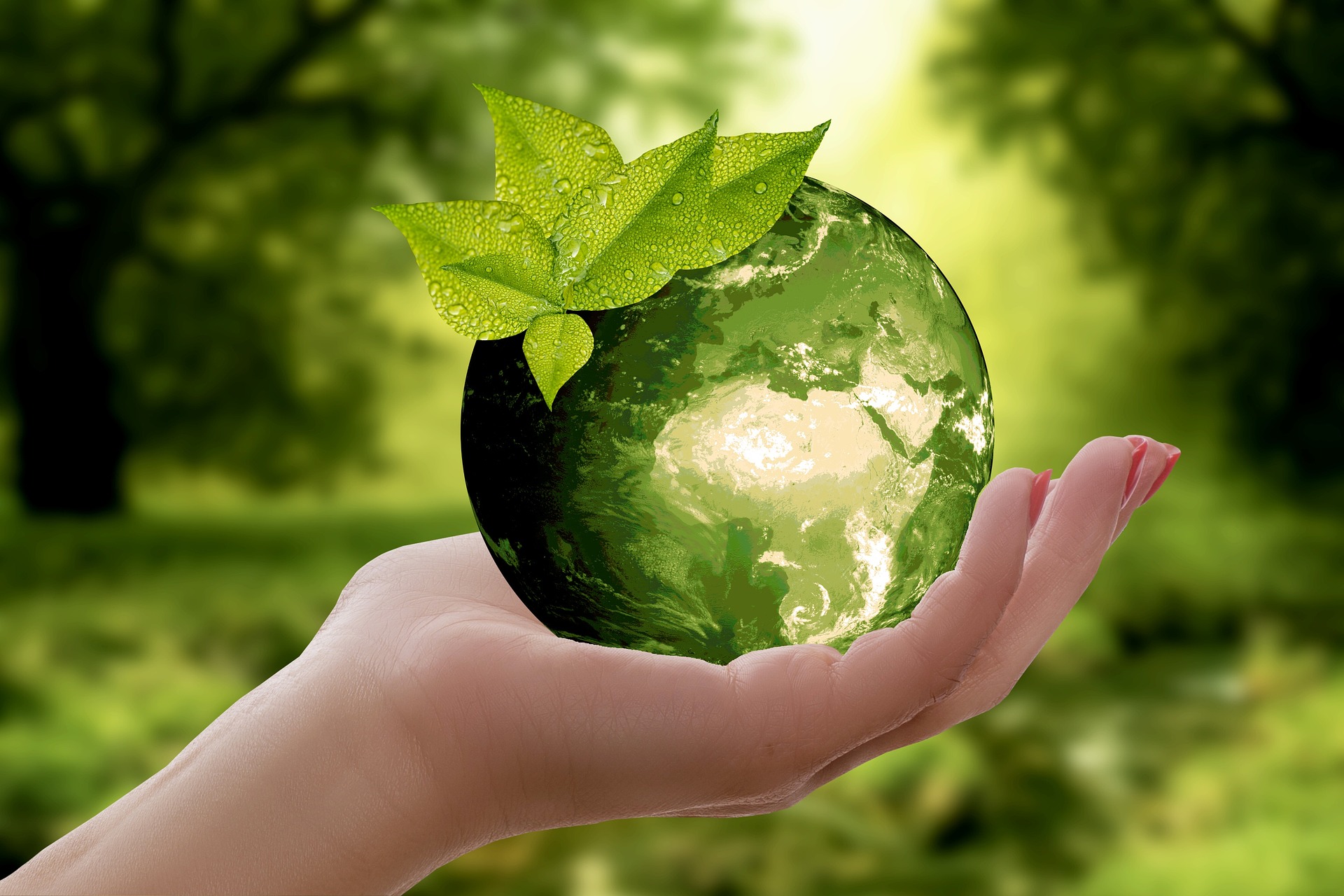 Energy Transition