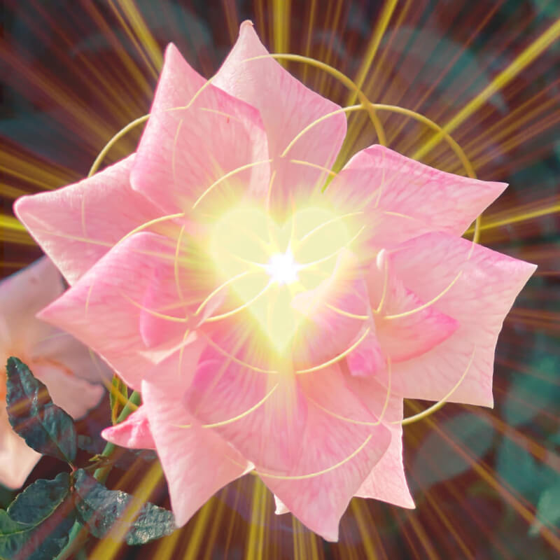 Lightspace logo