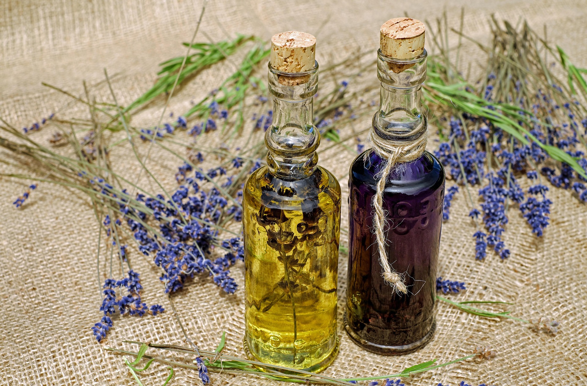 Longevity & Wellness